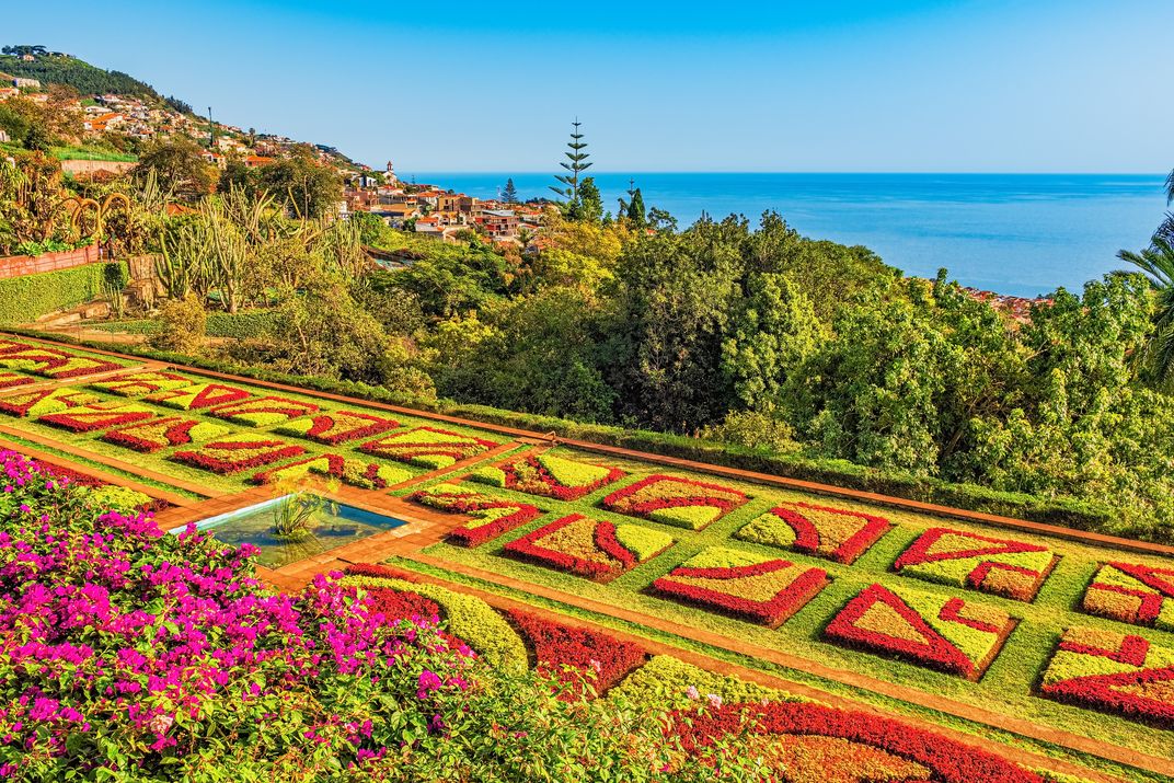 Formal garden display at Funchal's botanic garden, Madeira