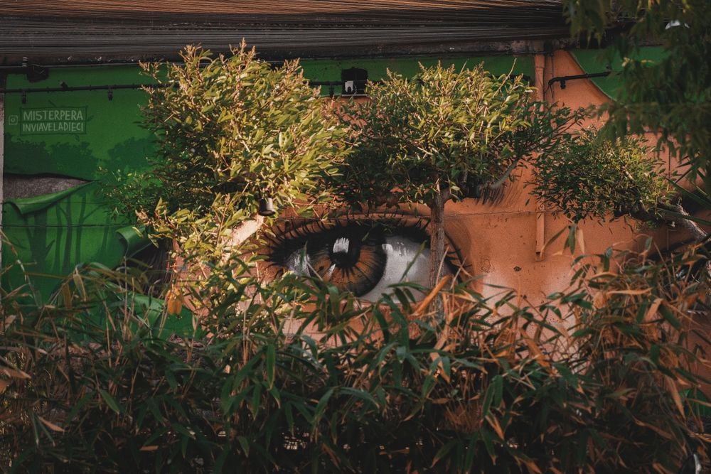 Nestled within the urban sprawl, this photograph tells a story of nature reclaiming its space, as foliage intertwines with a striking piece of street art. The mural, a hyper-realistic human eye, gazes out from the wall, now partly veiled by leafy branches, suggesting a watchful presence amid the city's hustle. This image captures the beauty of urban art coexisting with nature's persistence, a reminder of the delicate balance between human creation and the natural world. It's a visual metaphor for the ever-observant eye of nature, watching over our urban environments, slowly weaving life back into the concrete and brick.