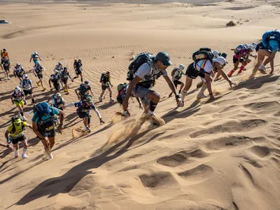 Runners compete in the Marathon des Sables, a 250-kilometer race in the Sahara Desert in Morocco, in 2022. Humans have a number physiological adaptations, such as slow-twitch muscle fibers and the ability to sweat a lot, that help with endurance running.