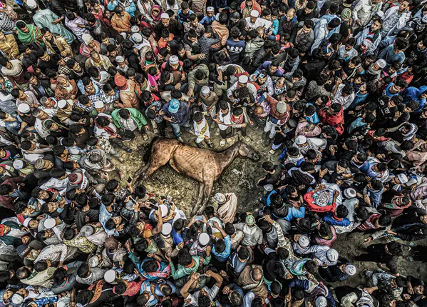 end of hopes paid by death thumbnail