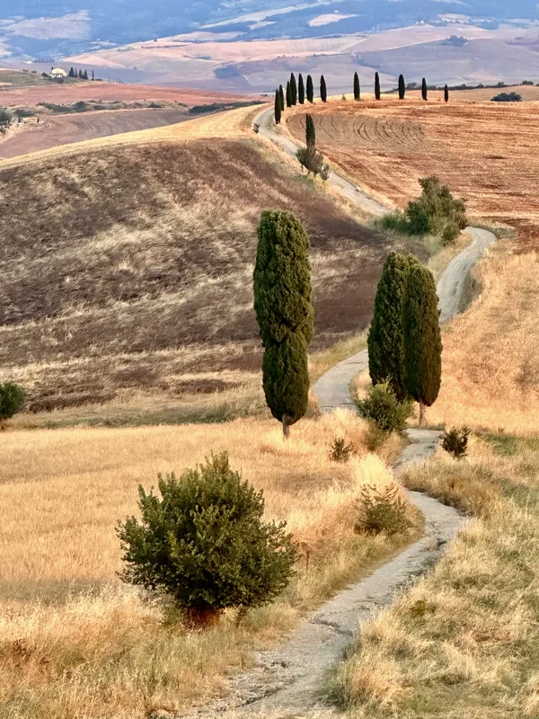 Echoes of the Hills thumbnail