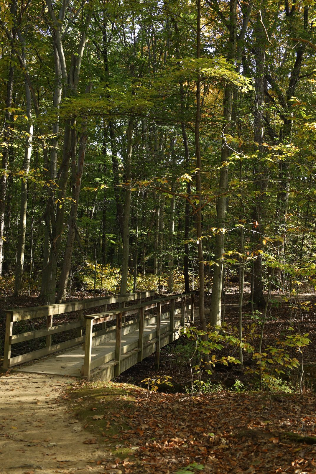 Fall Time Bridge | Smithsonian Photo Contest | Smithsonian Magazine