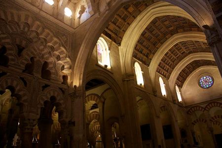 People – but maybe not computers – can tell whether this is a person’s face or the Great Mosque of Cordoba.