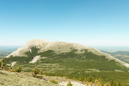 Protected land near Crowsnest Pass, Alberta, above, was one of the sites studied in the new analysis of tree lines in the Canadian Rockies.