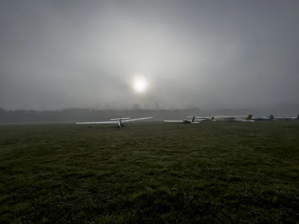 Gliders at Sunrise thumbnail