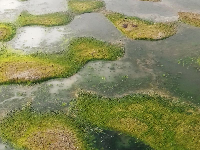 Dead River Smithsonian Photo Contest Smithsonian Magazine
