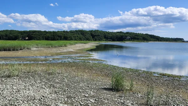 Watching, waiting, hoping, Caumsett State Park. thumbnail