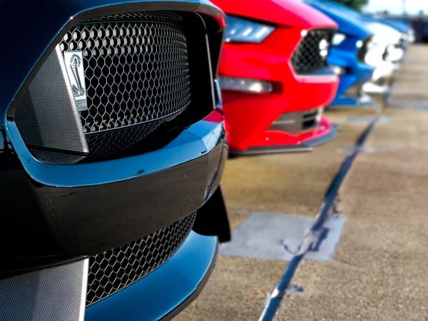 A line of Mustangs thumbnail