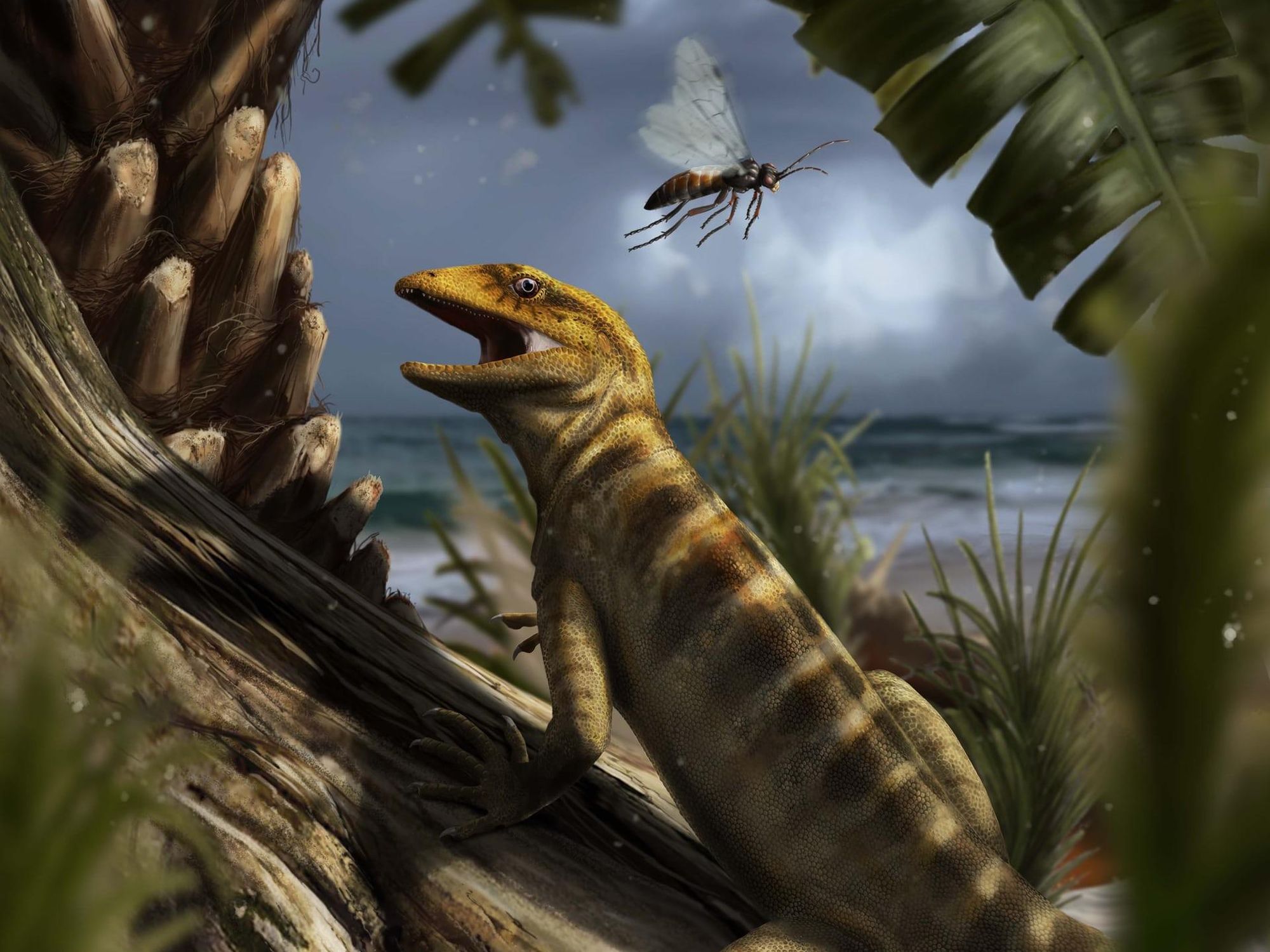 Oldest Lizard Fossil Shows These Reptiles Are The Ultimate Survivors