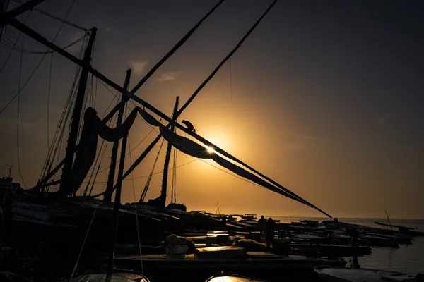 Hanging man in the dawn thumbnail