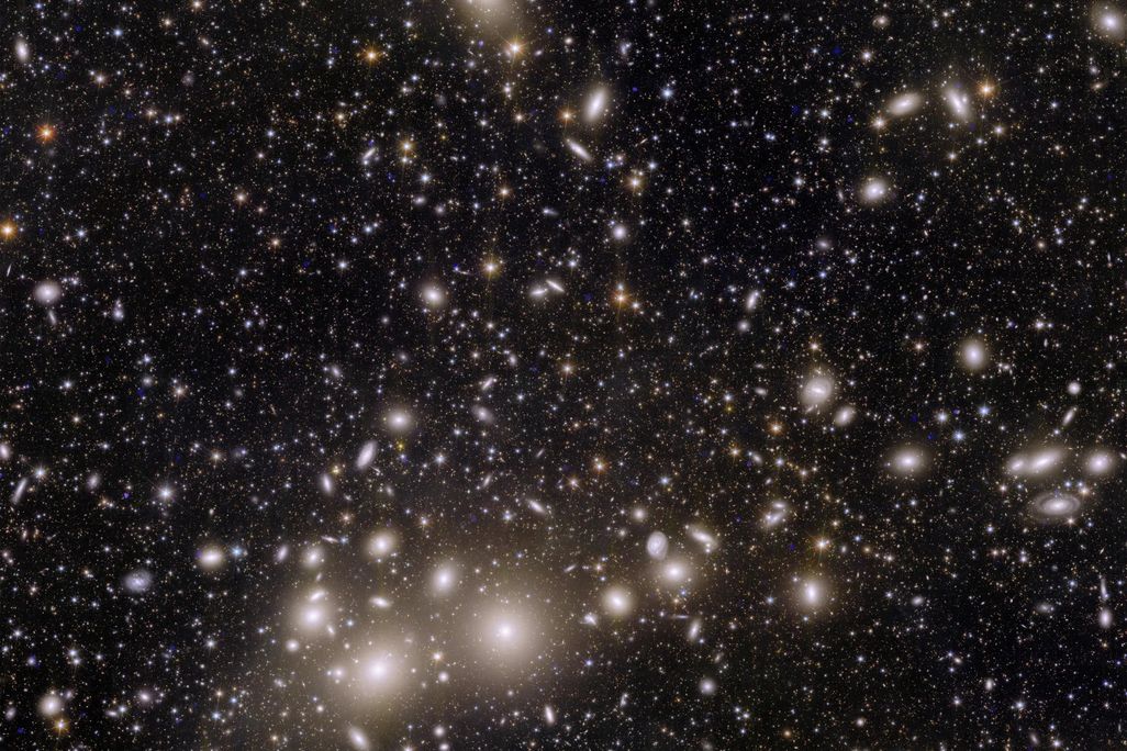 A cluster of many galaxies of varying brightnesses