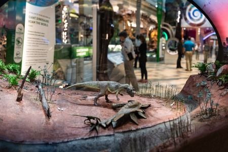 Miniature dinosaurs are staged in a scene from 150 million years ago while guests peruse another display showing the same species at full-size. (Smithsonian Institution)