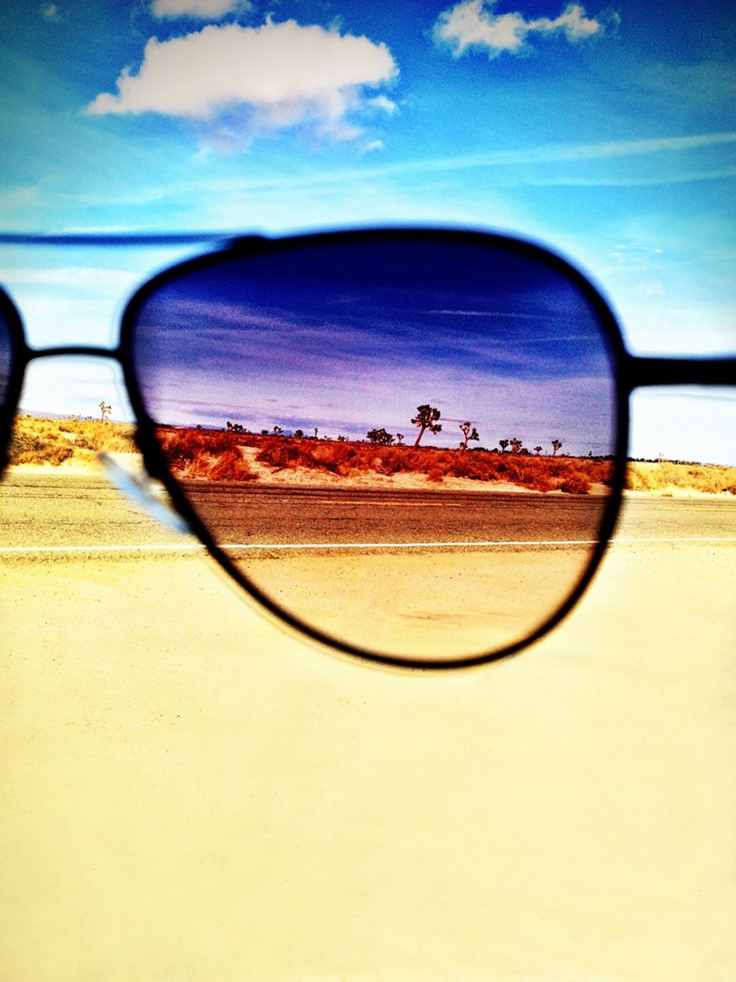 looking-through-rose-colored-glasses-smithsonian-photo-contest