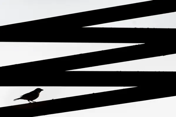 on the road thumbnail