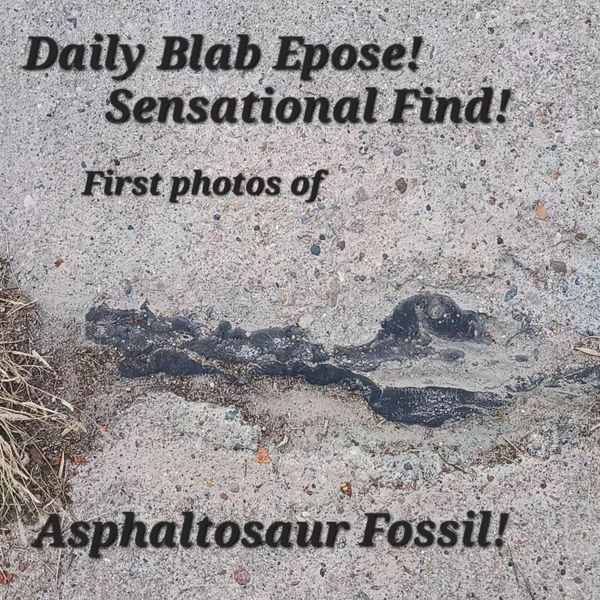 Asphaltosaur Fossil! thumbnail