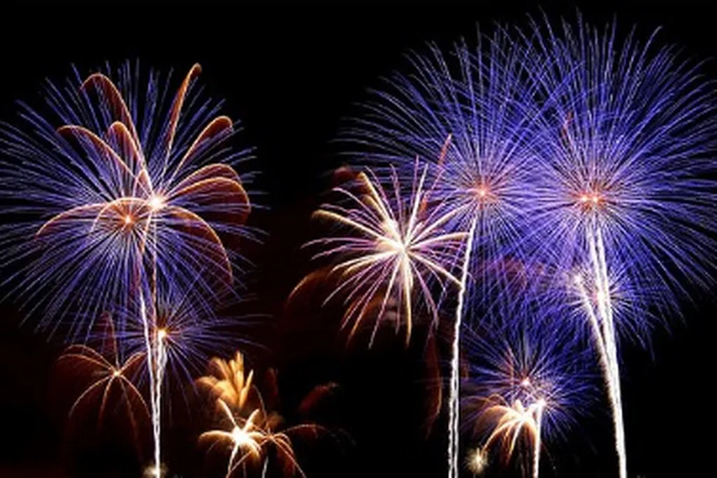 Fireworks can startle birds so badly they become disoriented