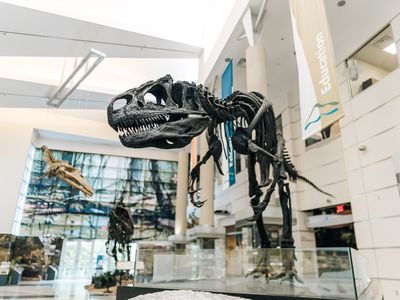Virginia Museum of Natural History