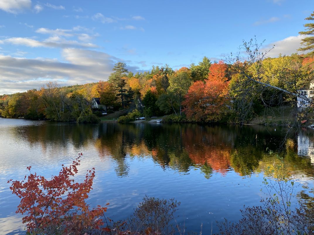 Foliage on Lake Todd Smithsonian Photo Contest Smithsonian Magazine