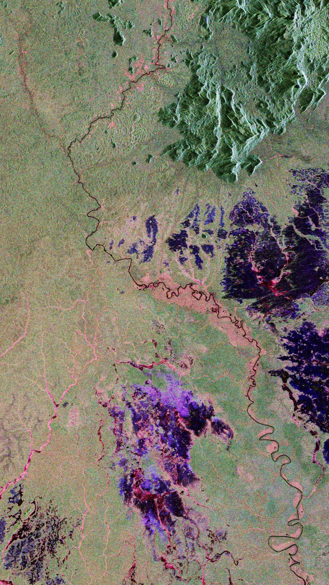 biomass_sees_through_rainforest.jpg