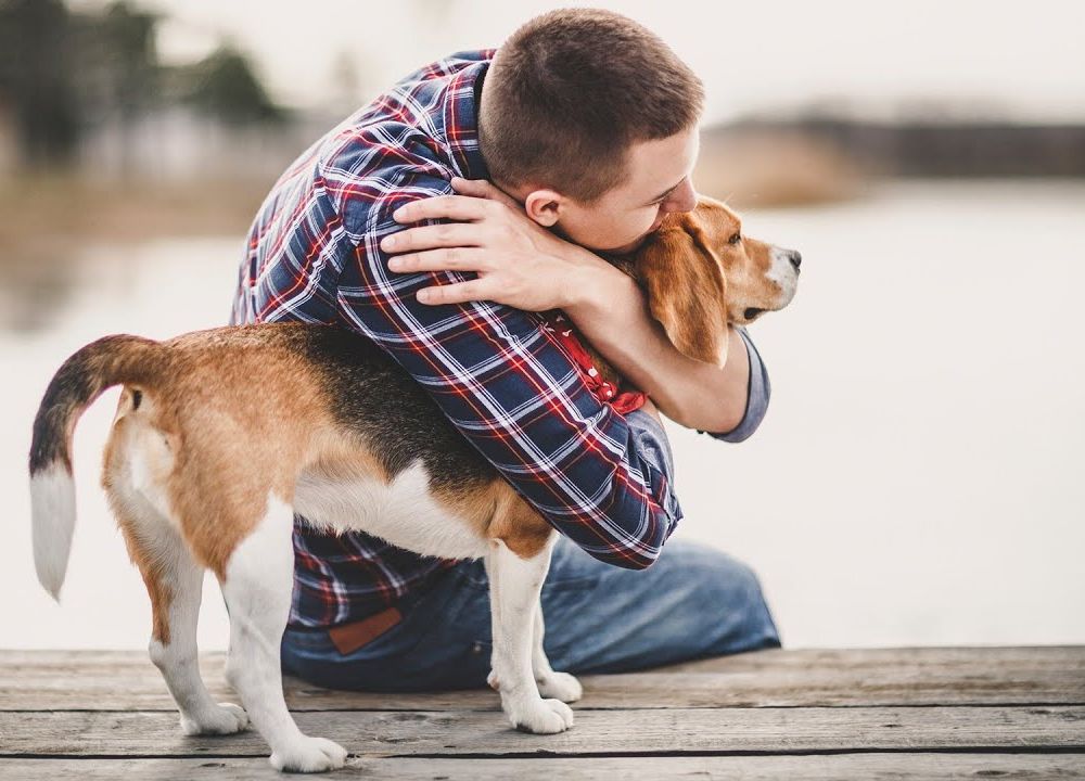 Preview thumbnail for video 'Ask Smithsonian: When Did People Start Keeping Pets?