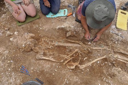 Archaeologists inspect the Anglo-Saxon warlord's grave.
