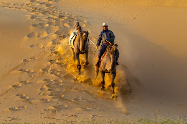 Across the Dunes thumbnail
