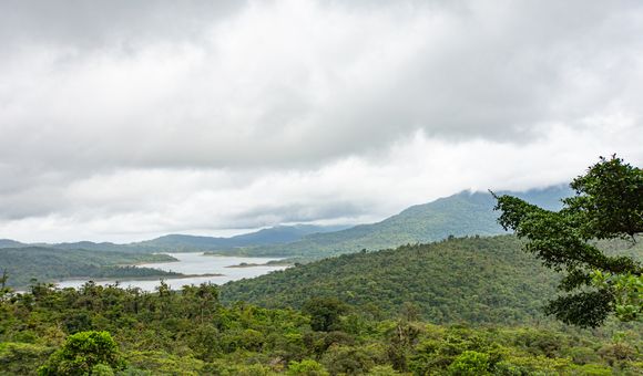 The cloud forests in the Fortuna Hydrological Reserve are home to almost as many species as the entire United States.