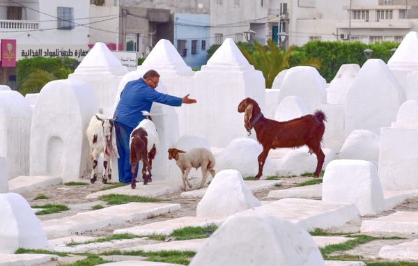 Arduous negotiation thumbnail