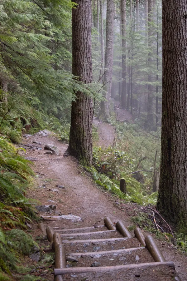 Mt. Si Trail in the Fog thumbnail