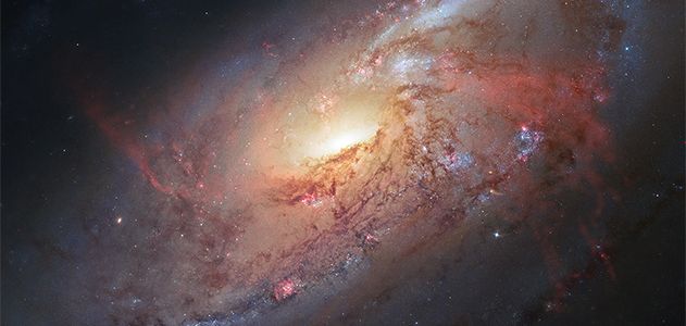 Galaxy M106′s spiral arms.