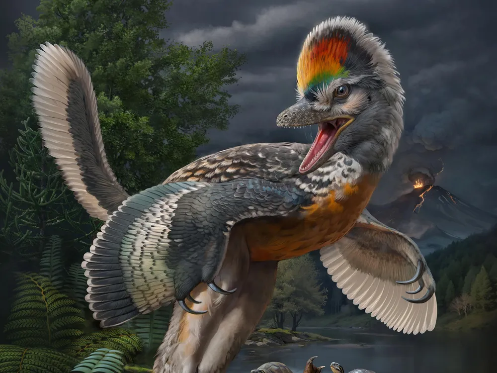 Illustration of a dinosaur that looks like a bird