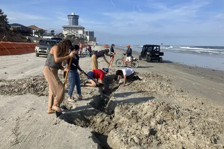 Volunteers and archaeologists dug a trench to reveal more about the mysterious wooden structure emerging from the sand.