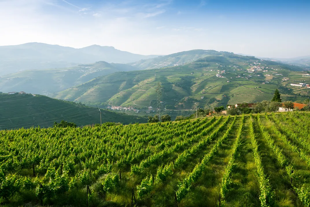 Vineyards along the banks of the Douro RIver