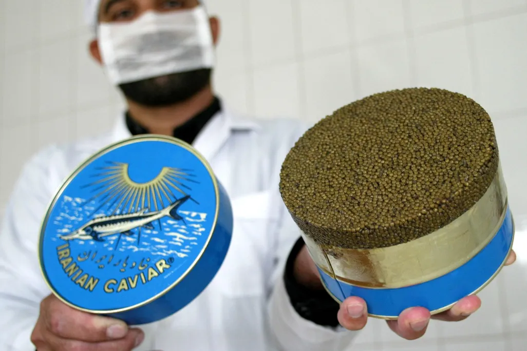 iranian caviar