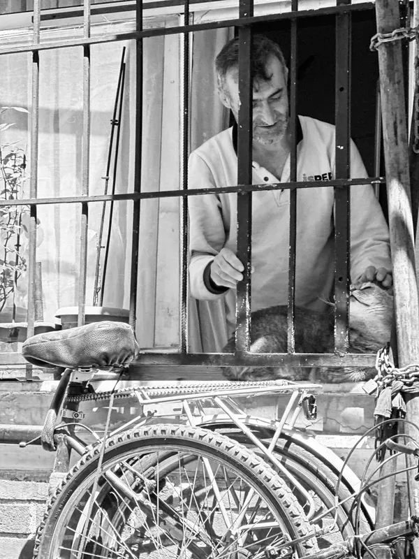 Guardian in the Window thumbnail