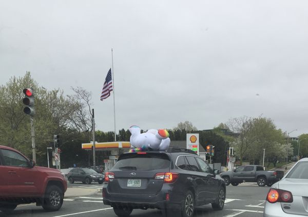 Unicorn and the flag thumbnail