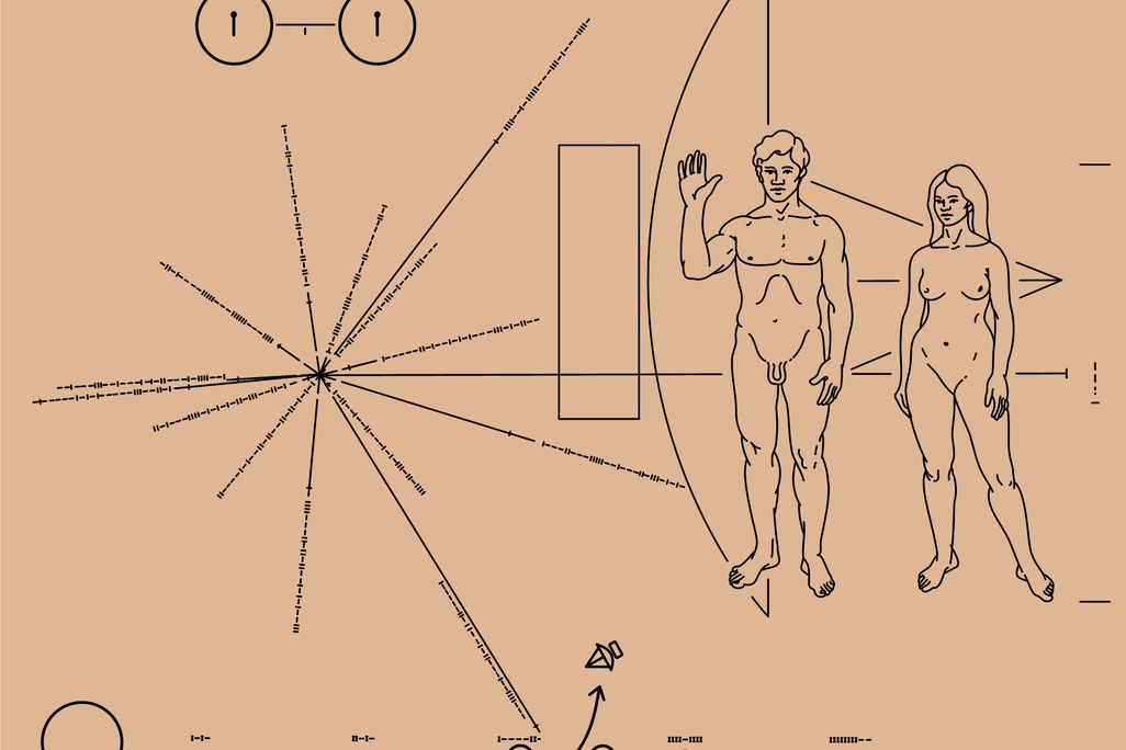 Pioneer_plaque.jpg