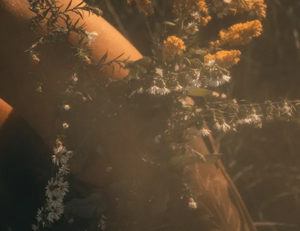 Prairie Soul thumbnail