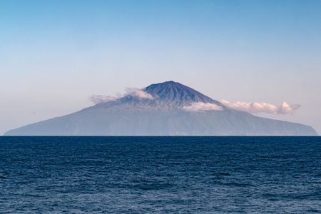A remarkable abundance of wildlife reside on or around the territory's four islands, including endangered yellow-nosed albatross, sevengill sharks, rockhopper penguins and 11 species of whales and dolphins.


