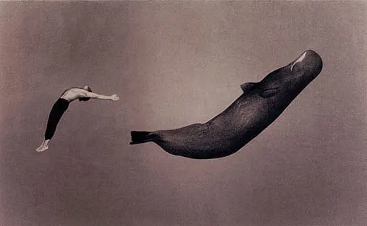 Ashes and 　Gregory Colbert　人間と動物との共生 Ashes and Snow Gregory Colbert 人間と動物との共生 Amazon.co