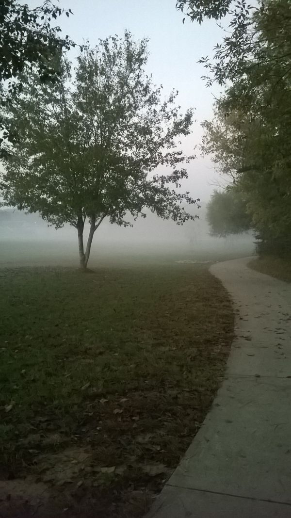 Morning Fog on the Greenway thumbnail