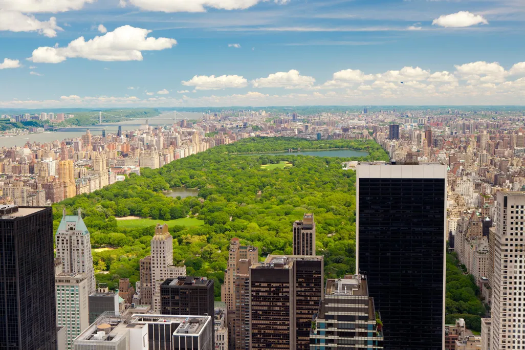 Central Park from Above