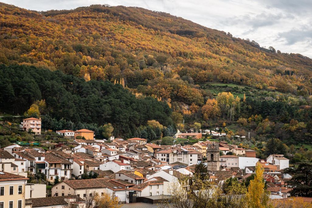 Hillside covered with trees overlooking a village