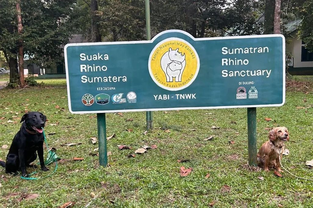 Two dogs in front of large sign