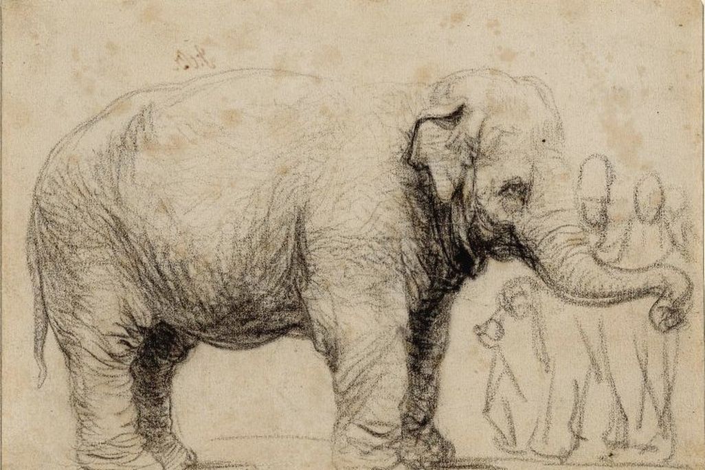 Rembrandt sketch of Hansken, circa 1637