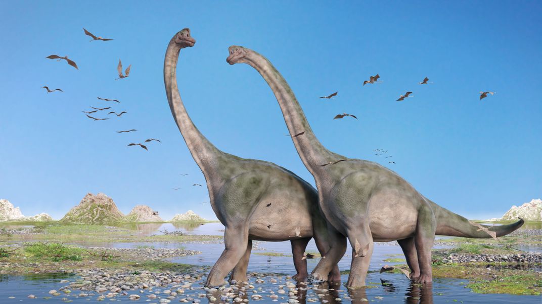 Sauropods, such as Brachiosaurus, may have preferred a lagoon environment. 