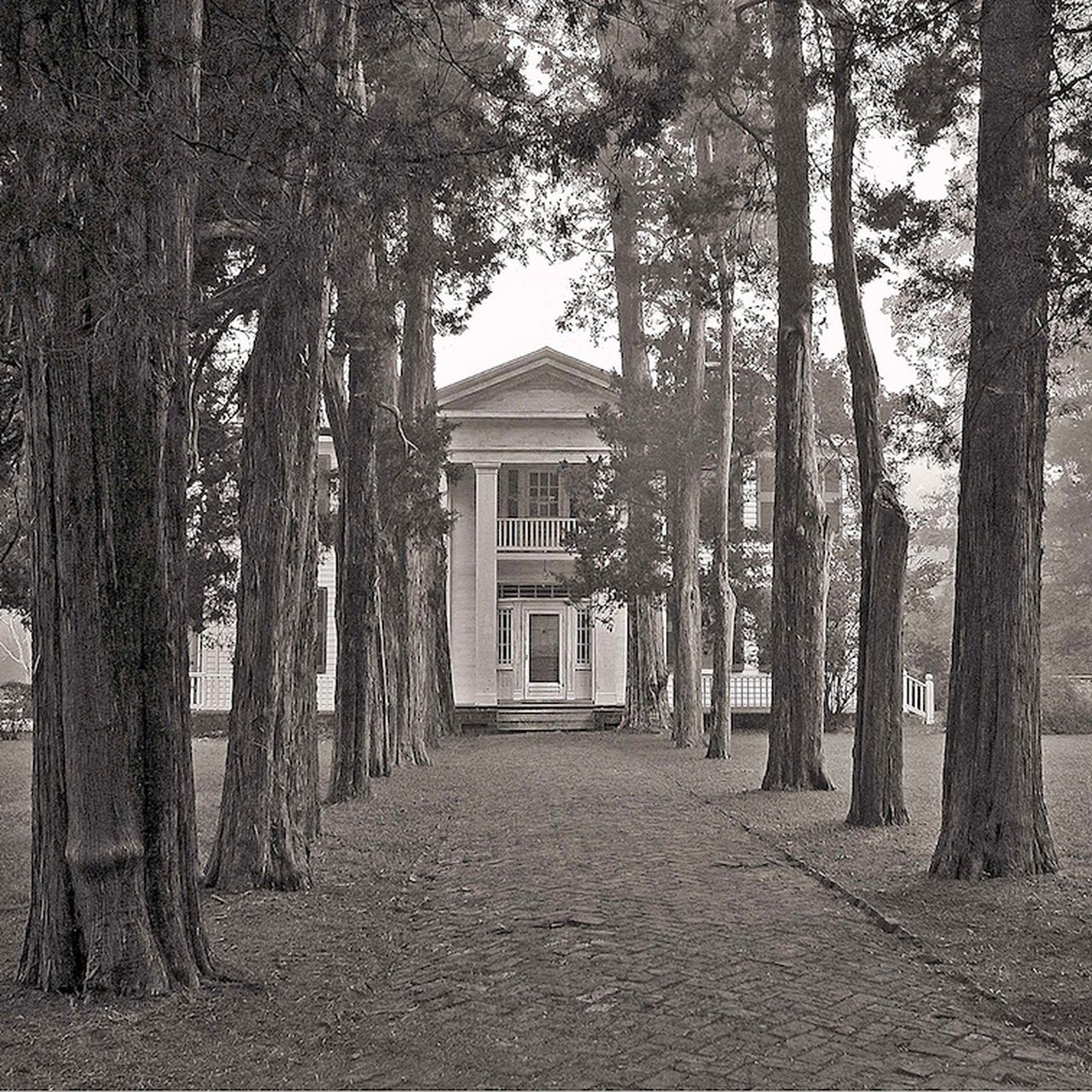 Get Lost in the Landscape That Inspired William Faulkner's