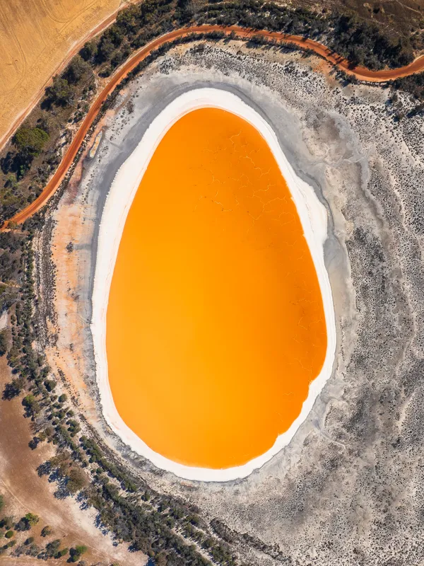 Sunny Side Up thumbnail