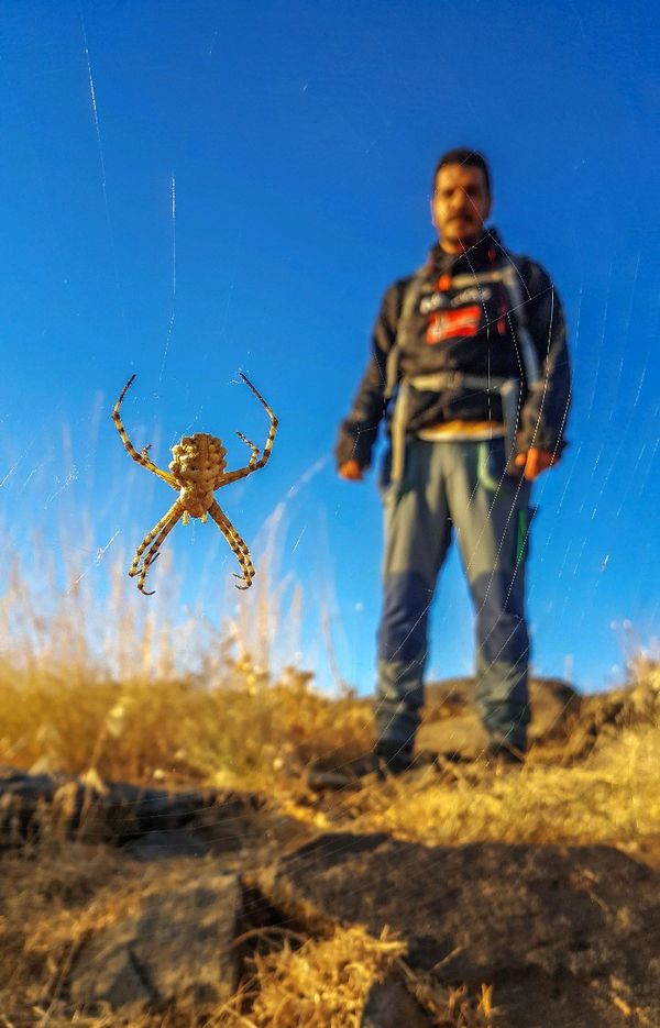 Me, my friend, and the beautiful spider thumbnail