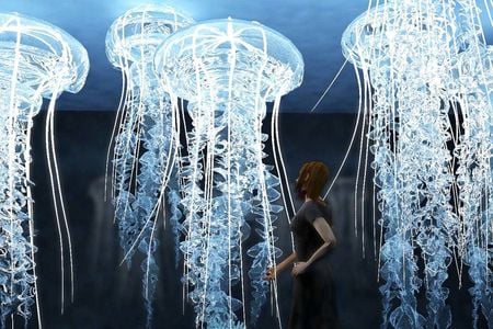 The experience unfolds across five rooms: the Recycle Bank, the Coral Tunnel, the Net Guard, the Jellyfish Station and the Bubble Mall.